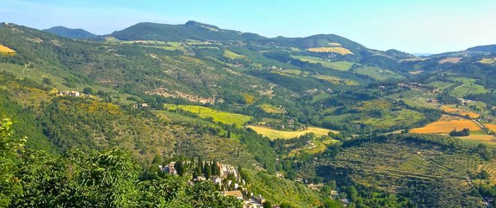 Open fields in mountains